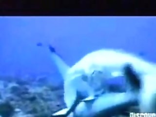 Hot Milf Gets Fucked By Huge Shark Dick